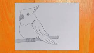 Papağan çizimi 🦜 Parrot drawing #parrotdrawing #discover #keşfet #turkey 