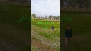 #rao #iftikhar Ahmed #viralvideo ####