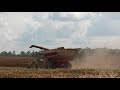 NEW EQUIPMENT! TWO NEW 8R340&#39;s! GLEN HEARD FARMS 2021 CORN HARVEST DAY2 PT2