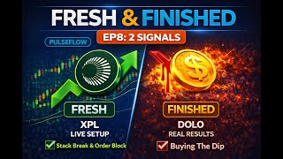 Crypto trading signals – Bitcoin up trend meets XPL bearish