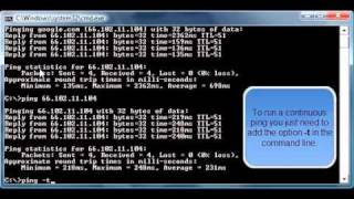 How to ping a website.