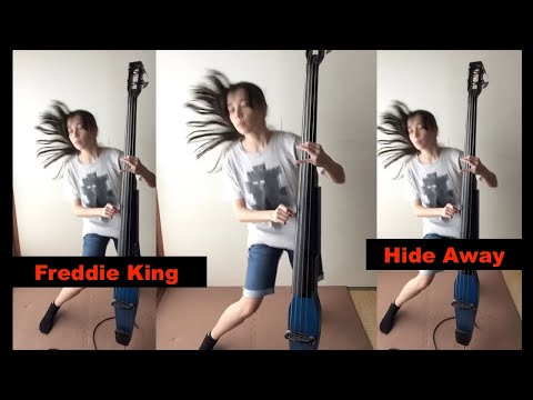 ギタースコア　フレディ・キング　FREDDIE KING collection 楽譜 フレディ・キング／コレクション（ヴォーカル・ギター（TAB