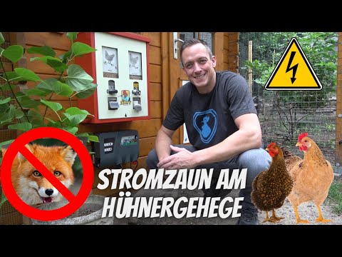 Stromzaun am Hühnergehege gegen Fuchs, Waschbär und Co - Weidezaun von Voss Farming im Einsatz