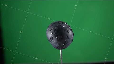 Blueberry rotating with loop on green screen for chroma key