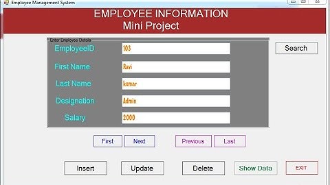 VB.NET : Create a Mini Project with Access Database | Part-1