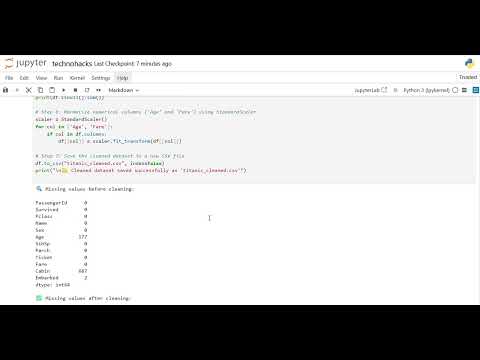 Task 2 Data Cleaning Process Demo – Titanic Dataset