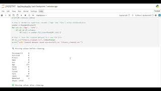 Famous Task 2 Data Cleaning Process Demo – Titanic Dataset Net Worth