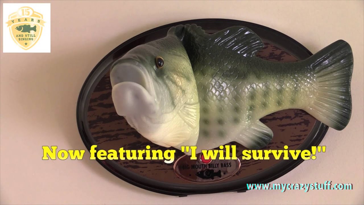 Poisson chanteur - Mycrazystuff.com 