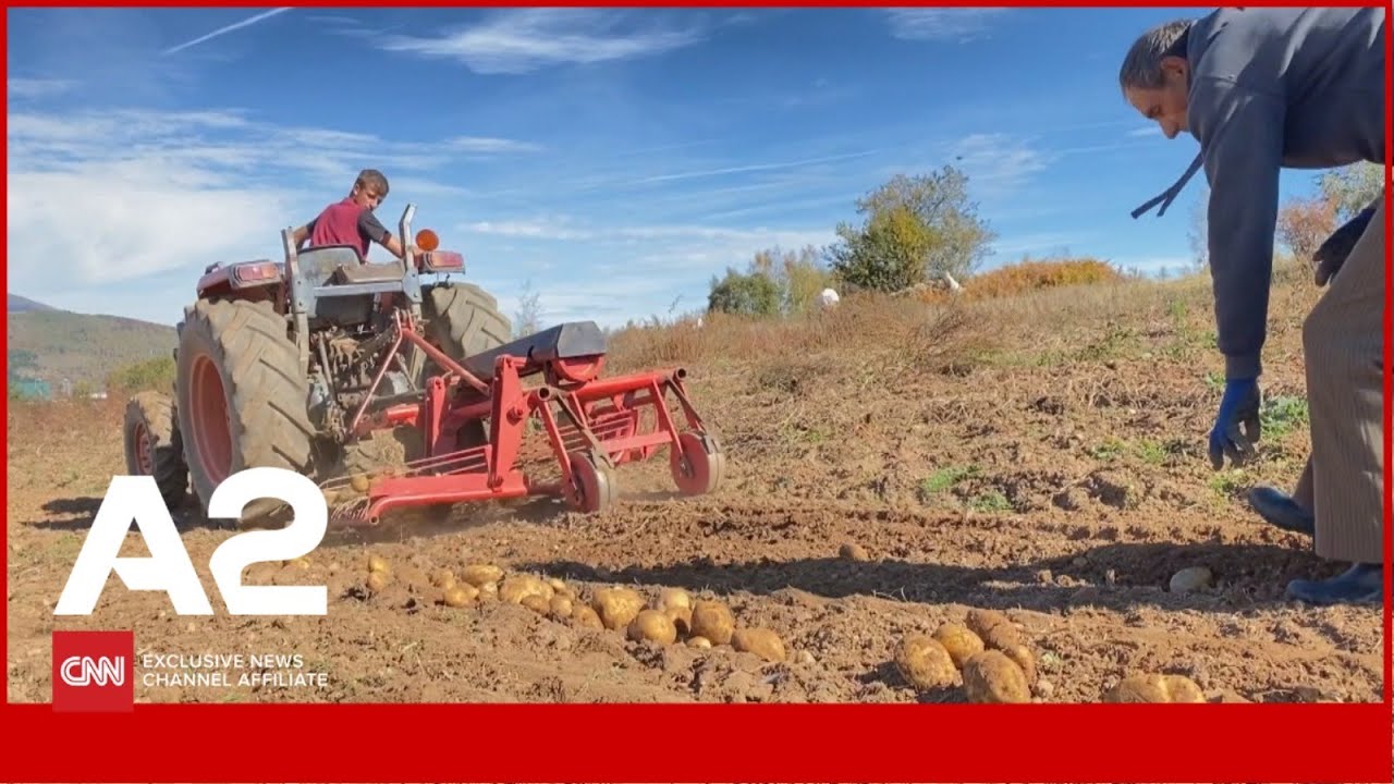Patatja 2 kg e Shishtavecit, fshati i Kukësit mes braktisjes dhe shpresës
