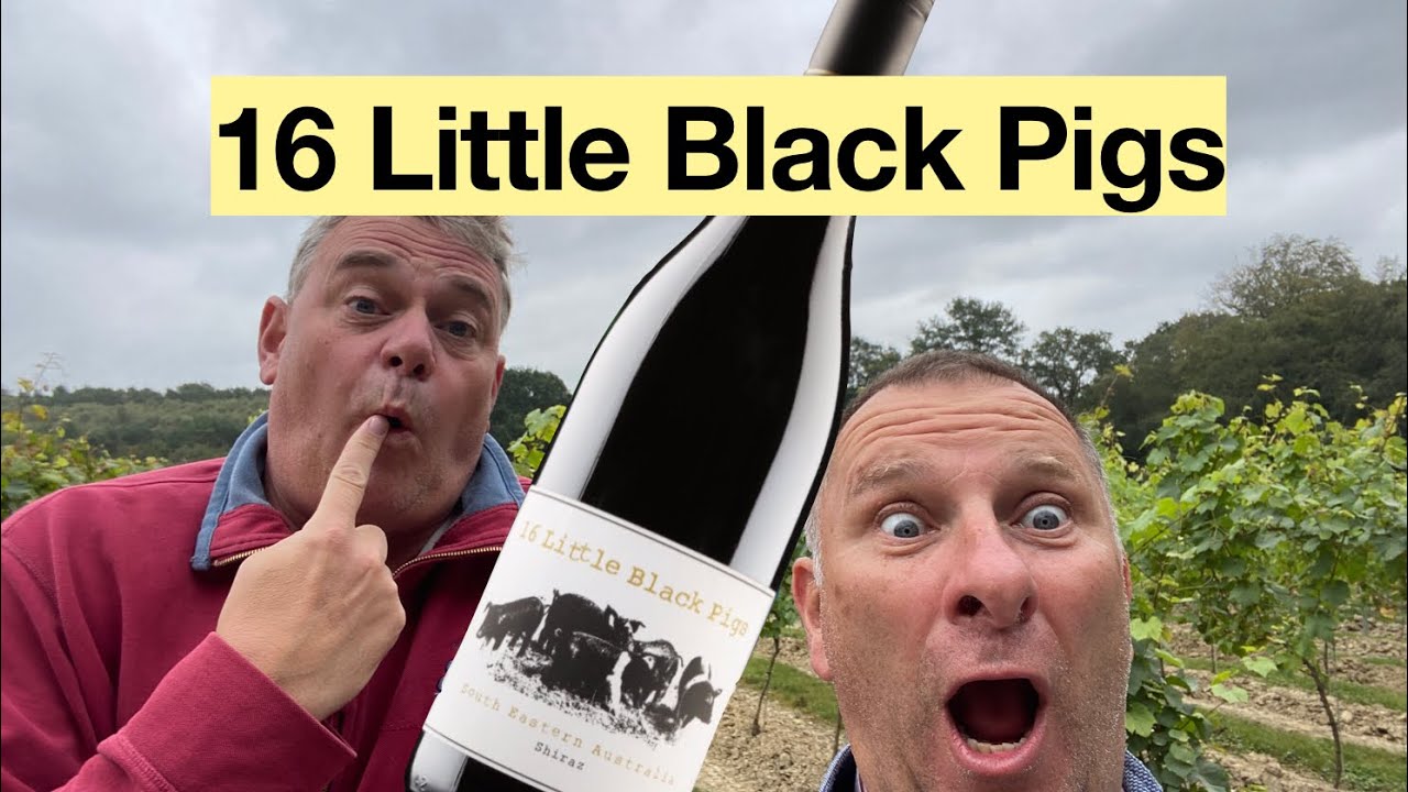 16 Little Black Pigs