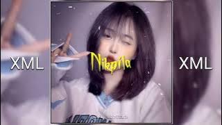 Nangna Chanchitingen || Alight motion || XML file link description box 🔰📌🥀✅✅✅💸💸