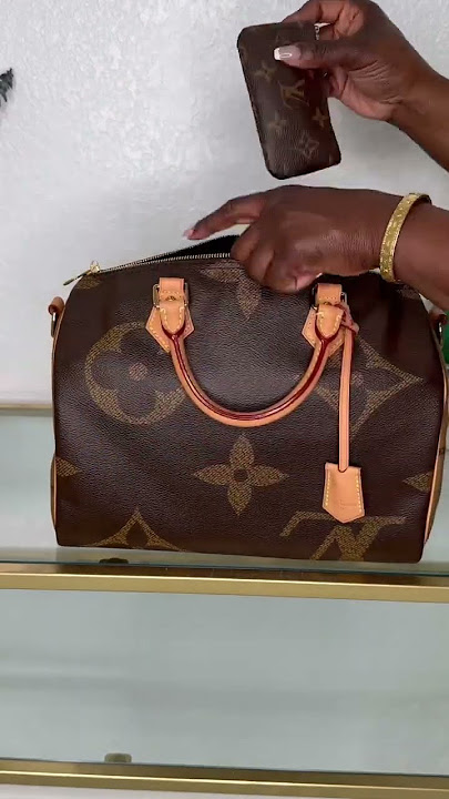 Louis Vuitton Giant Monogram Reverse Speedy 30 Bag - Handbagholic