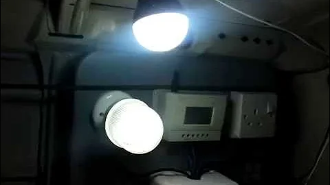 12v 5w CLF bulb vs 5v 5w LED USB test