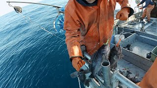 Breaking In The Deckhand  Jigging Rockfish in Alaska