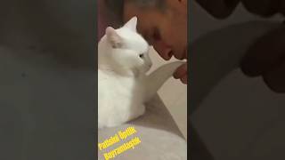 Patisini Öptüm Bayramlaştım Şfet