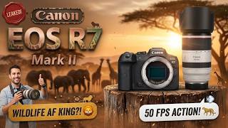 Canon R7 Mark II Release Date LEAKED! The Shocking Truth Finally Revealed