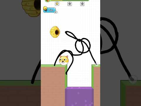 save the dog #shorts #ytshort