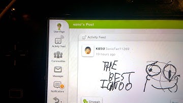 MIIVERSE BUG