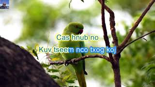 Mob Lub Siab Ua Luaj DJ Karaoke by Maiv Ntxawm Yaj Mob Lub Siab Ua Luaj DJ Karaoke by Maiv Ntxawm Yaj