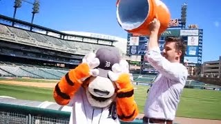 MLB participates in Ice Bucket Challenge to fight ALS
