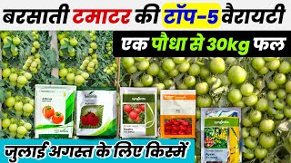 Tamater ki variety | Tamater ki top variety | टमाटर की बेस्ट वैरायटी🌱बरसाती टमाटर की टॉप 5 वैरायटी screenshot 2