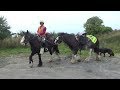 Mit zwei Pferden auf einem Wanderritt am Fluss Shannon in Irland entlang