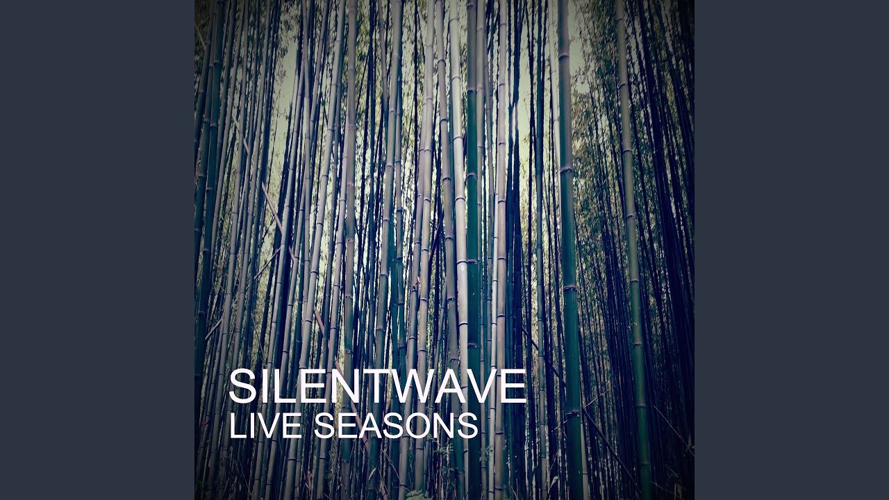 Tonton Four Seasons, Pt. 2 (feat. Yoshinori Noguchi) (Live) di YouTube Tonton Four Seasons, Pt. 2 (feat. Yoshinori Noguchi) (Live) di YouTube