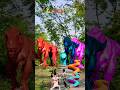 Big dinosaur chase T-rex chasingpart -1498#shorts #dinosaur#youtube#dinosaurs #superman#ddininner🐯🦣🦖