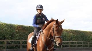 Training the Young Horse for Eventing - Introducing a young horse to a course