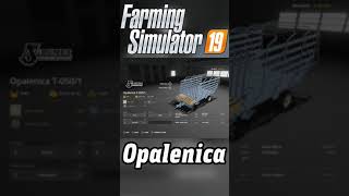 Agromet Opalenica T050/1 - FS19 New Mod