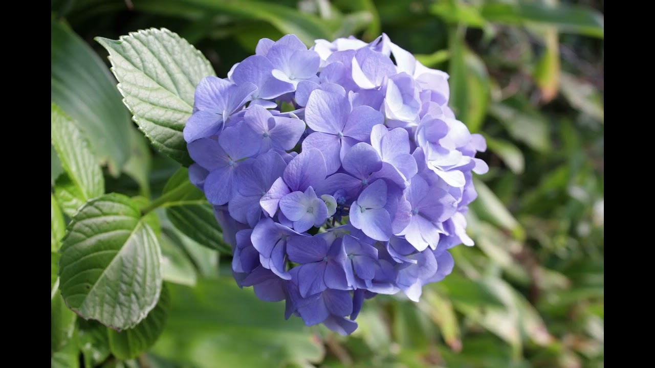 For those out the struggling: I hope this helps ;)