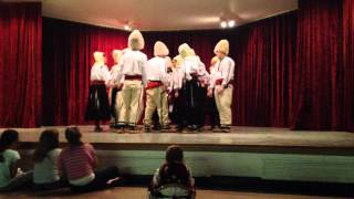 Broadview Hts Folklor Festival (Gracanica, Akron) 2014