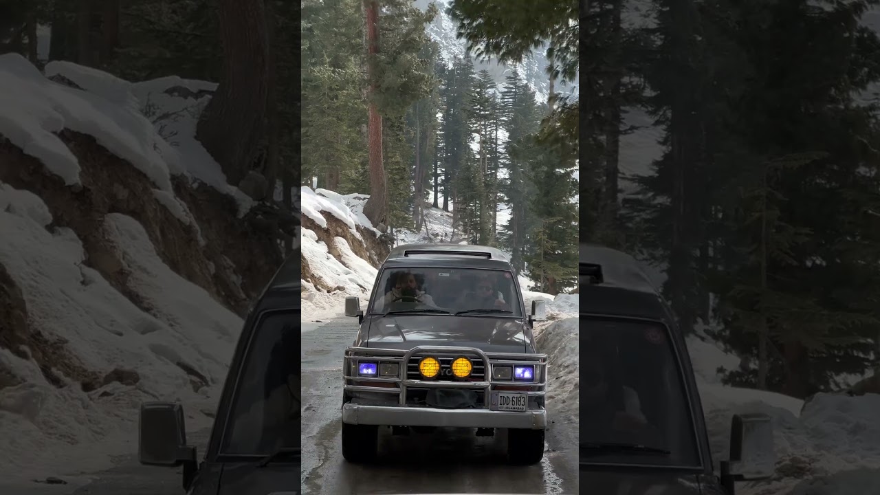 Kali cartel on their way! 