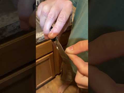 @SpydercoKnivesOfficial S30V Sage 5 LW Hair Whittling Sharp!   @FearNoSteel