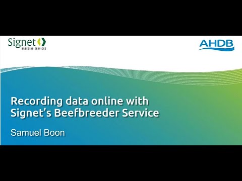 Online data entry for Signet's beef clients