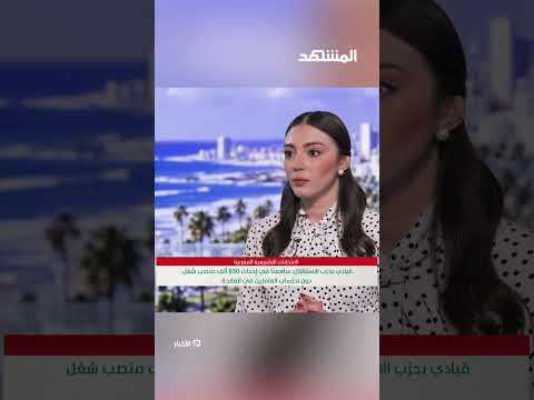 Did the Moroccan Government Make Mistakes?.. Hilali Responds