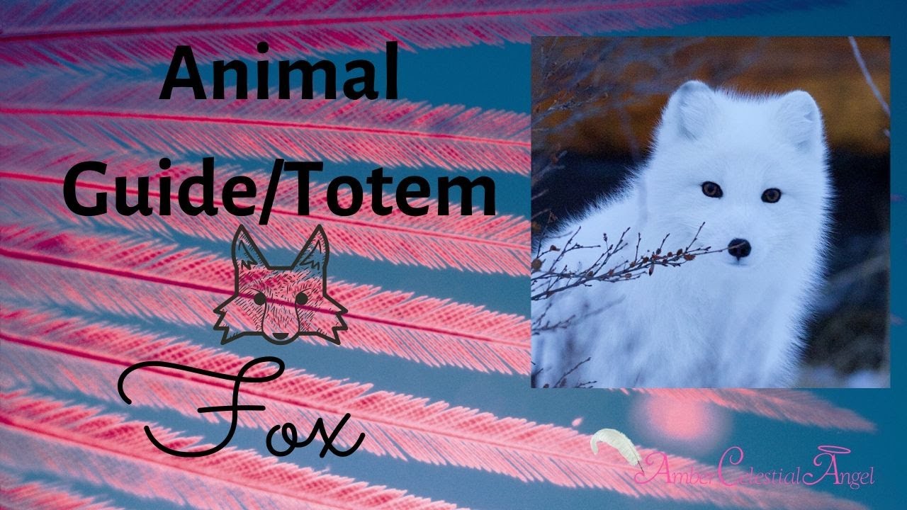 FOX Animal Totem/Guide YouTube
