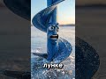 Главные помощники на льду 🎣 #зимняярыбалка #рыбалка #ледобур #рыбацкийящик #рыболовныеснасти #зима
