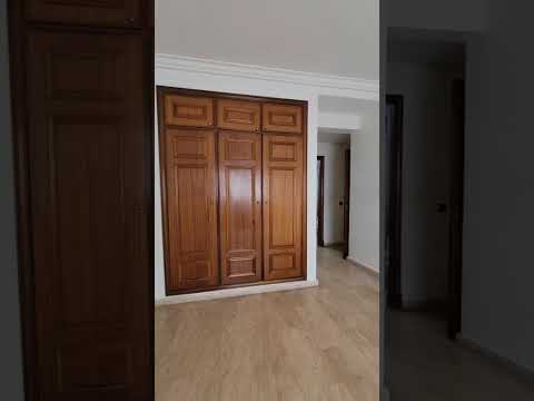 WhatsApp Video 2025 10 10 at 08 42 12