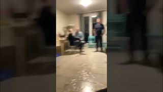 Cat Surprised by the Amount of People in One Room