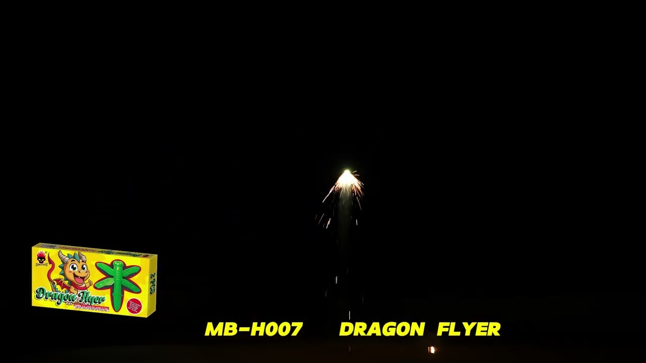 Dragon Flyer MB-H007 