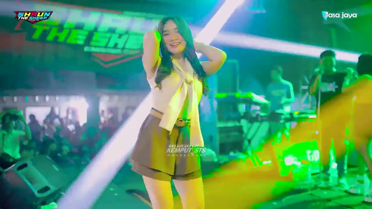 DJ KEMPUT STS SHAUN THE SHEEP - HAPPY PARTY BOX DUWOR ORGANIZER - KEMBANG DUKUHSETI PATI