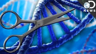 What Is CRISPR & How Could It Edit Your DNA?