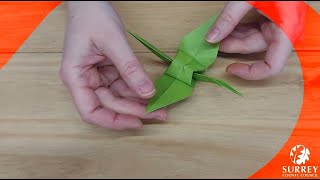 Surrey Libraries Get Creative Craft Session - Origami Lucky Crane