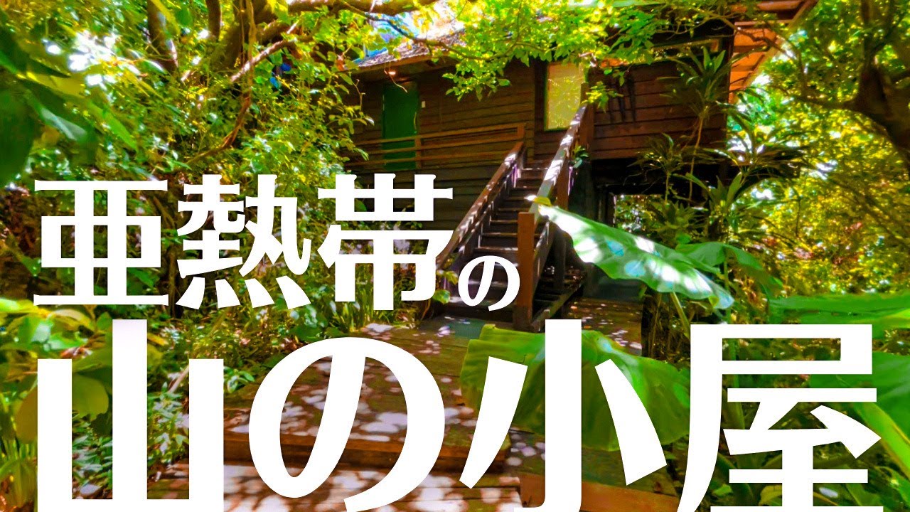 【ルームツアー】沖縄の亜熱帯の森に囲まれた「ポツンと一軒家」ならぬ「山の小屋」