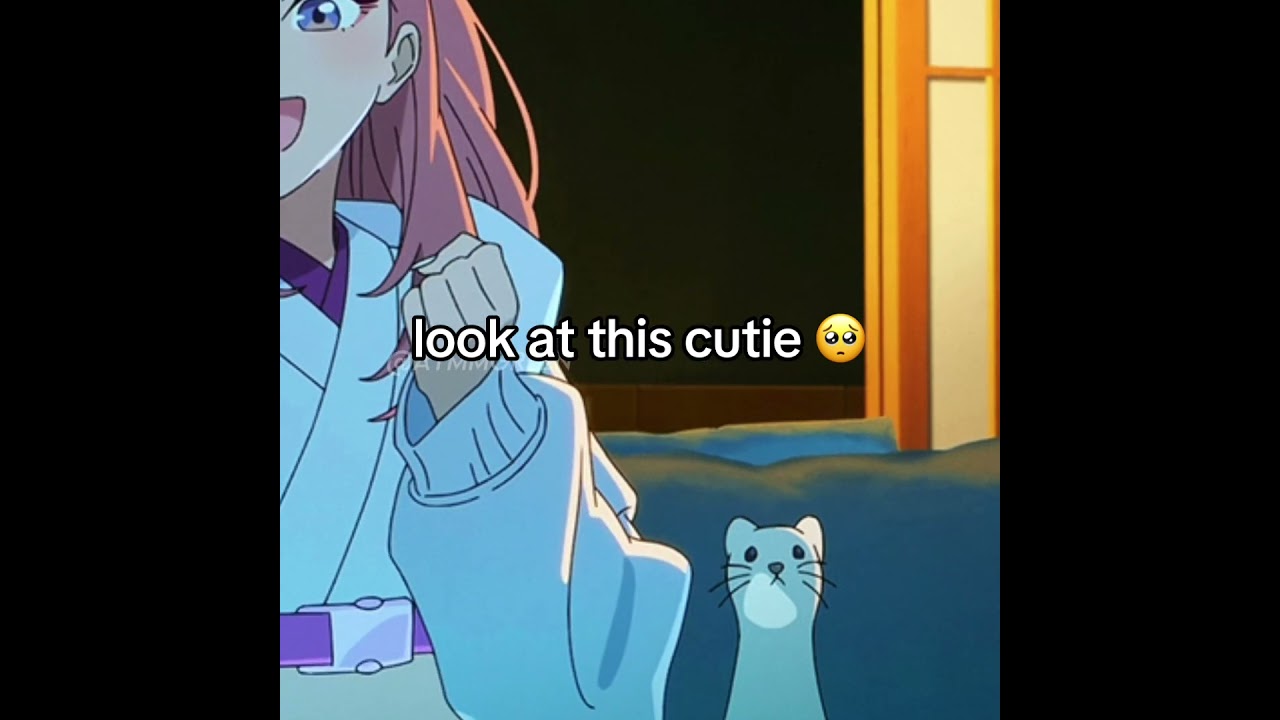 roka and her lil cutie companion 🥺 