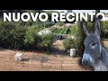 Da oggi hanno 7000mq di PASCOLO LIBERO