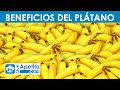 8 propiedades y beneficios del pltano  queapetito