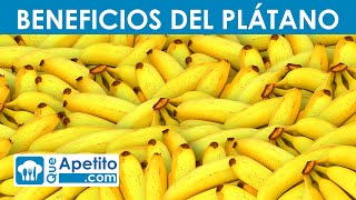 8 Propiedades y Beneficios del Plátano | QueApetito Cuantas Proteinas Tiene Una Banana