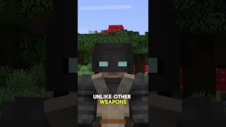 Minecraft Feature No One Asked For